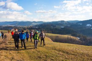 49252326_2772929472732390_7692459991059398656_o