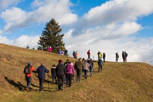 49766416_2772929636065707_9179716292746149888_o