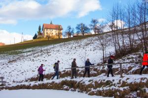 49898775_2772929159399088_7390312250126368768_o