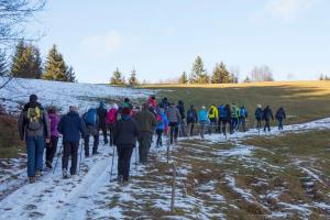 49899681_2772929199399084_3495728136241283072_o