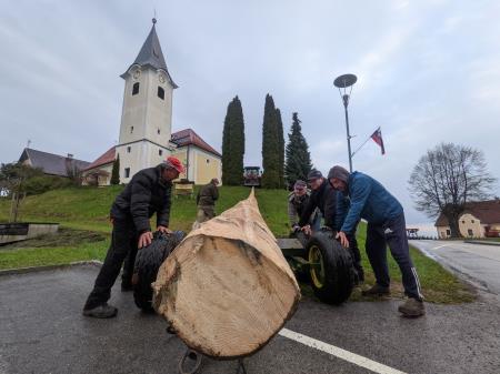 Postavitev mlaja