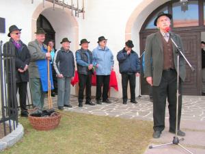 V Breznu so obrezali potomko najstarejše trte na svetu