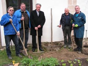 V Breznu raste tudi vnukinja najstarejše trte na svetu z mariborskega Lenta