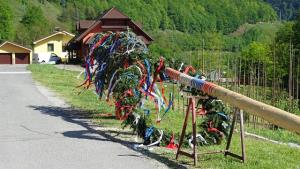 2. POSTAVITEV MLAJA V JAVNIKU