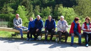 2. POSTAVITEV MLAJA V JAVNIKU