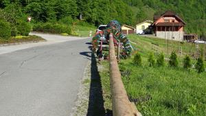 2. POSTAVITEV MLAJA V JAVNIKU