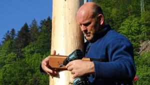 2. POSTAVITEV MLAJA V JAVNIKU