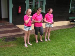 Slovesno ob Dnevu državnosti v Občini Podvelka