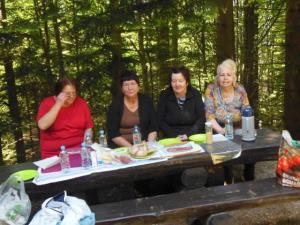 DELOVNA AKCIJA PRI POMNIKU