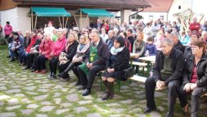 V Breznu je potomka najstarejše trte na svetu bogato obrodila