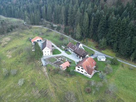 Pr' Mojci